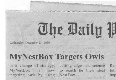 Newspaper Headline: MNB Targets Owls